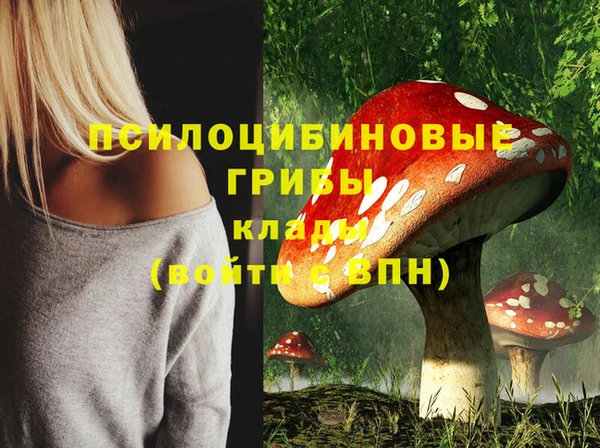 2c-b Канск