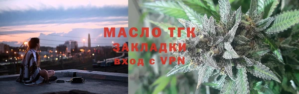 шишки Няндома