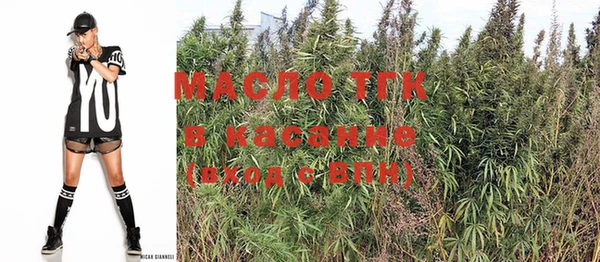 шишки Няндома