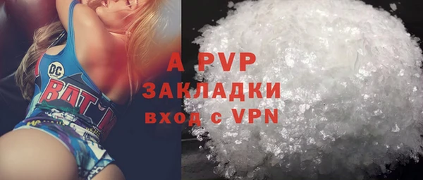 шишки Няндома