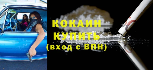 шишки Няндома