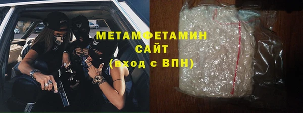 шишки Няндома