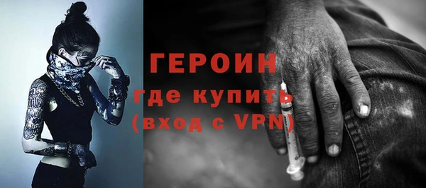 шишки Няндома