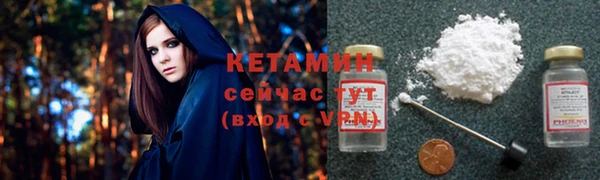 стаф Дмитров