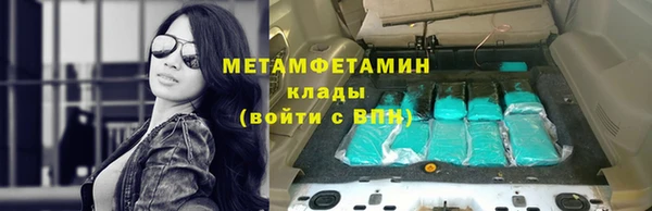 шишки Няндома