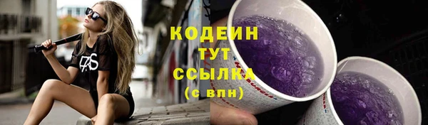 прущие грибы Новодвинск