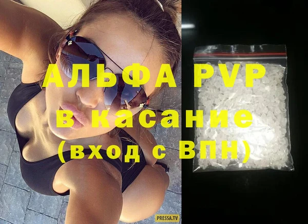 шишки Няндома