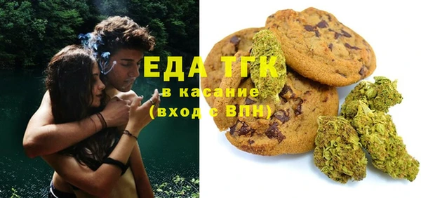 шишки Няндома