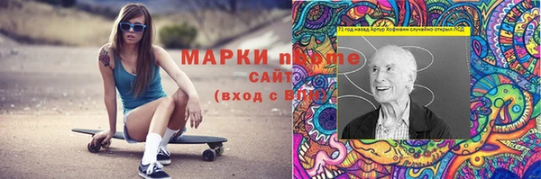 шишки Няндома