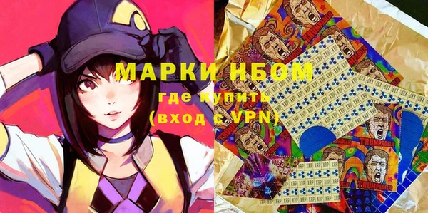 шишки Няндома