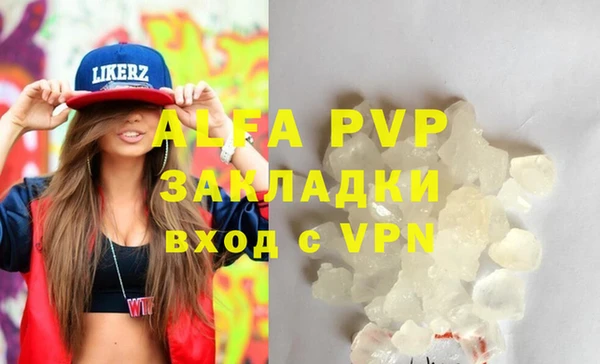 шишки Няндома