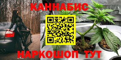 бошки Волгодонск